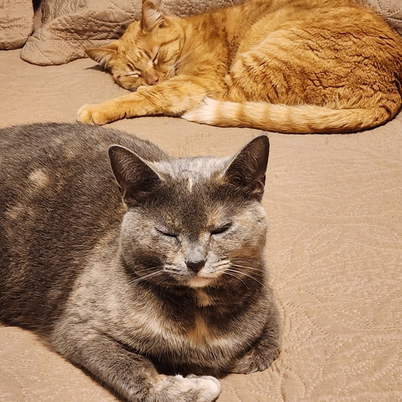 Meet your Posher, Yuliya - Picture 3 of 3